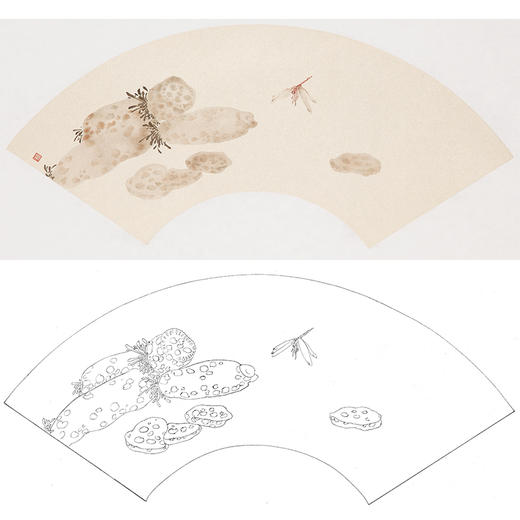 张莉莉没骨画工笔花鸟白描底稿-扇面小品 ZA40 商品图0