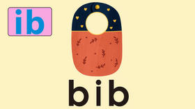 bib