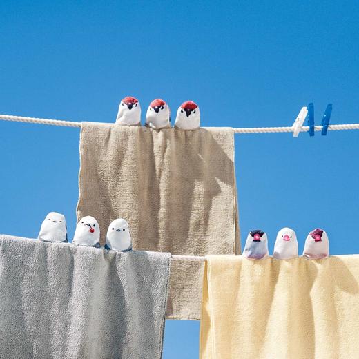 YOU+MORE!　小鸟停在毛巾上 可爱立体小鸟毛巾之会 商品图0