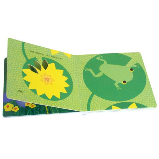 最美自然洞洞绘本 青蛙 原价36.8 商品图2