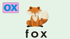 fox