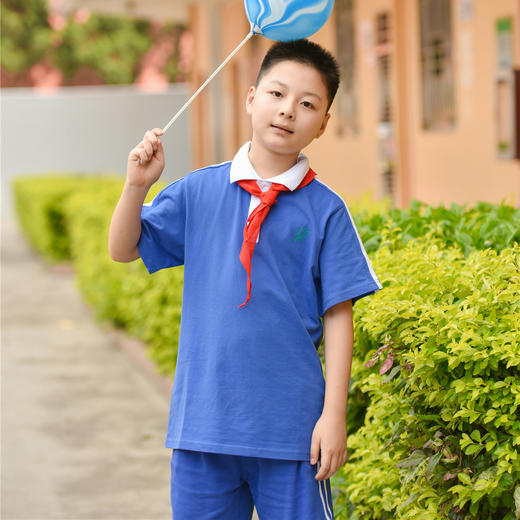 深圳校服  小学男生款夏季运动服 商品图2