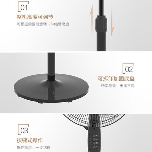 美的（Midea）电风扇12寸落地扇家用摇头省电宿舍静音台式卧室大风力摇头扇风扇FSA30YA 黑色 商品图3