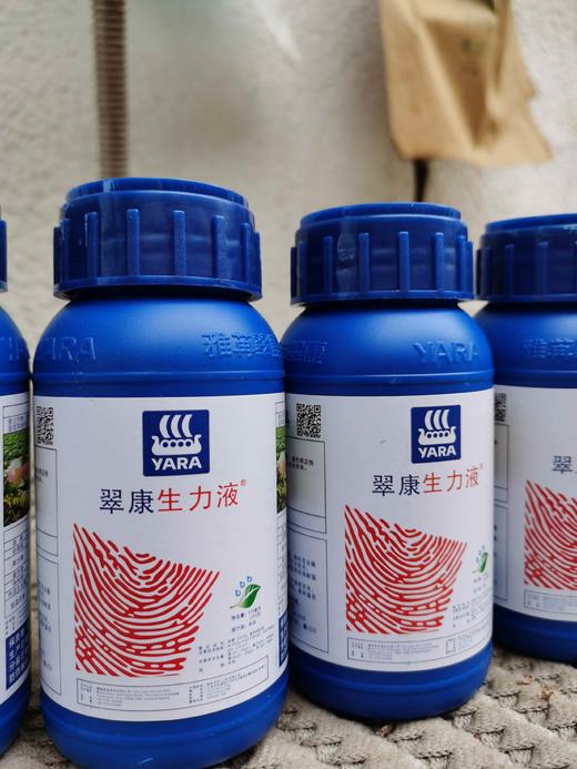 雅然翠康生力液250克增糖上色 商品图0