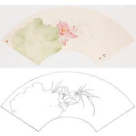 张莉莉没骨画工笔花鸟白描底稿-扇面小品 ZA41