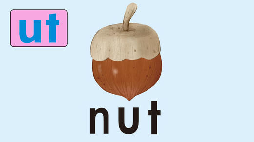 nut 商品图0