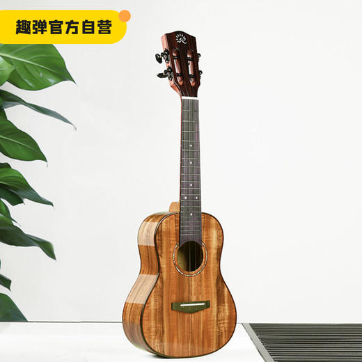 【进阶尤克里里】瑞声100/200系列 23/26寸相思木桃花芯木全单 电箱（有券有券有券详情页领！） 商品图0