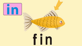 fin