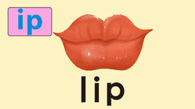 lip