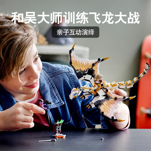乐高LEGO 吴大师的战斗飞龙71718 商品图1