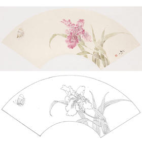 张莉莉没骨画工笔花鸟白描底稿-萱草扇面小品-ZA39