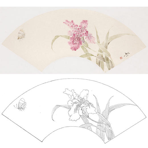张莉莉没骨画工笔花鸟白描底稿-萱草扇面小品-ZA39 商品图0