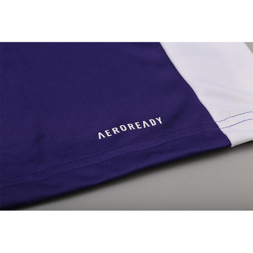 【119元2件】ADIDAS ENTRADA 18 JSY 男子运动短袖CD8374 商品图3