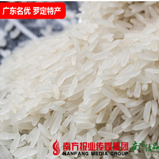 【珠三角包邮】罗定特产 聚龙桂香粘米 2.5kg/ 袋（6月1日到货) 商品图2