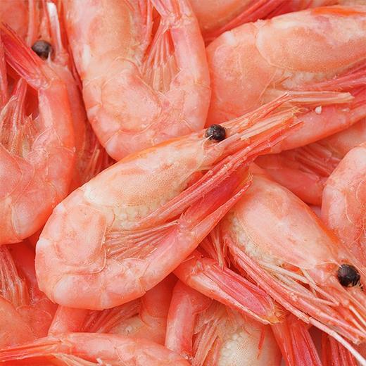 【大西洋北极甜虾】2斤装，虾肉鲜嫩，口感清甜爽口，深海200米捕捞 商品图3