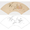 张莉莉没骨画工笔花鸟白描底稿-石榴扇面小品-ZA43 商品缩略图0