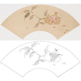 张莉莉没骨画工笔花鸟白描底稿-石榴扇面小品-ZA43