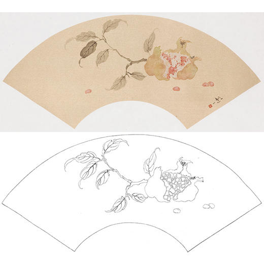 张莉莉没骨画工笔花鸟白描底稿-石榴扇面小品-ZA43 商品图0