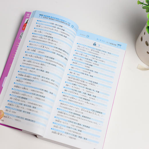 思维导图 新日本语能力考试N1-N5文字词汇 高效速记10000日语单词 商品图2