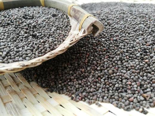 安顺普定【安顺酥麻（引子】1斤/3斤装 全国包邮 部分地区不发货 粽子的绝配 商品图1