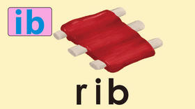 rib