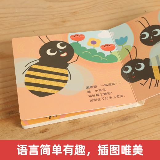 最美自然洞洞绘本 蜜蜂 原价36.8 商品图2