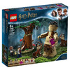 乐高LEGO 禁林乌姆里奇的遇见75967 商品缩略图0