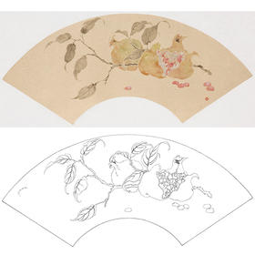 张莉莉没骨画工笔花鸟白描底稿-石榴扇面小品-ZA42