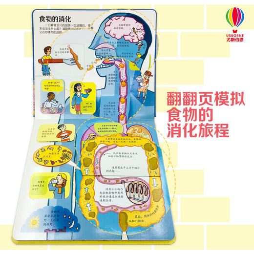 尤斯伯恩看里面（低幼版）·揭秘营养金字塔 商品图1