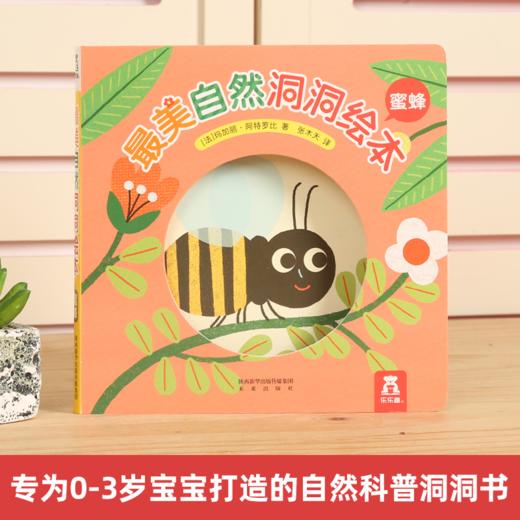 最美自然洞洞绘本 蜜蜂 原价36.8 商品图1