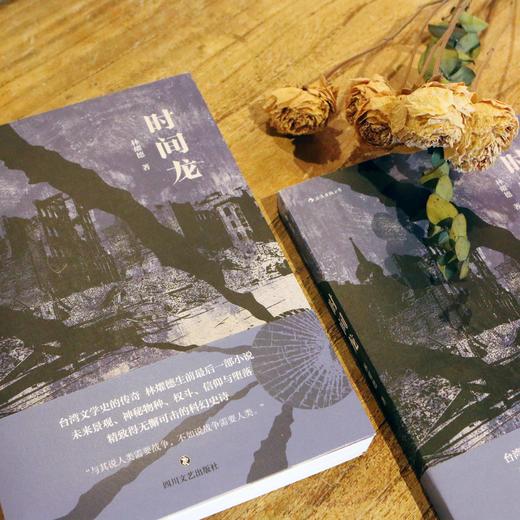 时间龙（台湾文学史的传奇，获得三十余项文学奖 林耀德科幻史诗力作 时报文学奖得奖作品扩写） 商品图1