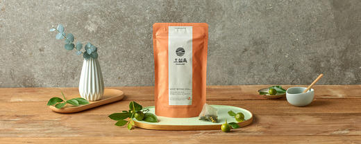 OSULLOC济州茶博物馆20片Samda Yeonju Juyoung橘子（金字塔）JPY带授权招加盟代理 商品图1