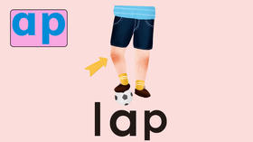 lap