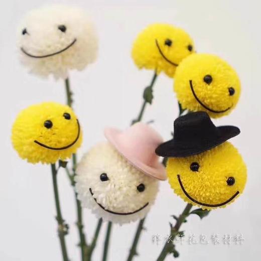 乒乓菊表情包 商品图1