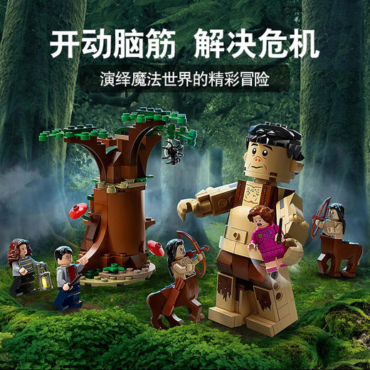 乐高LEGO 禁林乌姆里奇的遇见75967 商品图3