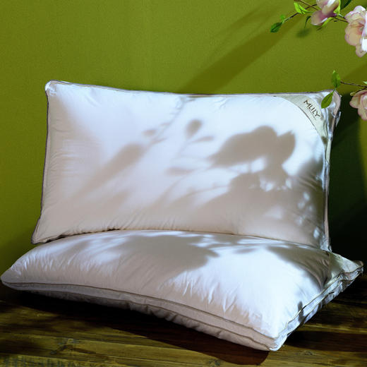 梦百合 云若气感随芯0压枕 70cm*42cm居然之家 商品图0