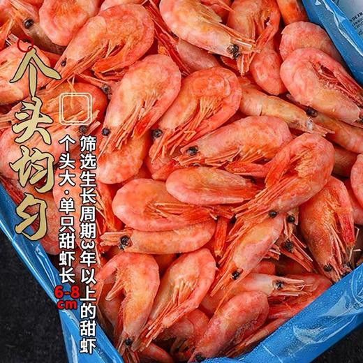 【大西洋北极甜虾】2斤装，虾肉鲜嫩，口感清甜爽口，深海200米捕捞 商品图5