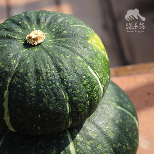 生态板栗南瓜| 绿家自产*Chestnut pumpkin(little over saccharification）| Self-production 商品图2