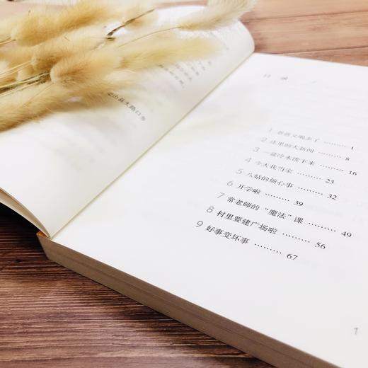 《天赐》：让孩子走近乡村，感受乡土朴实的气息，看故事里的孩子打枣，在细节中体味不同的生活。 商品图2