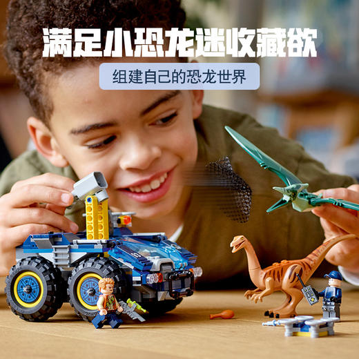 乐高LEGO 似鸡龙和无齿翼龙脱逃记75940 商品图1