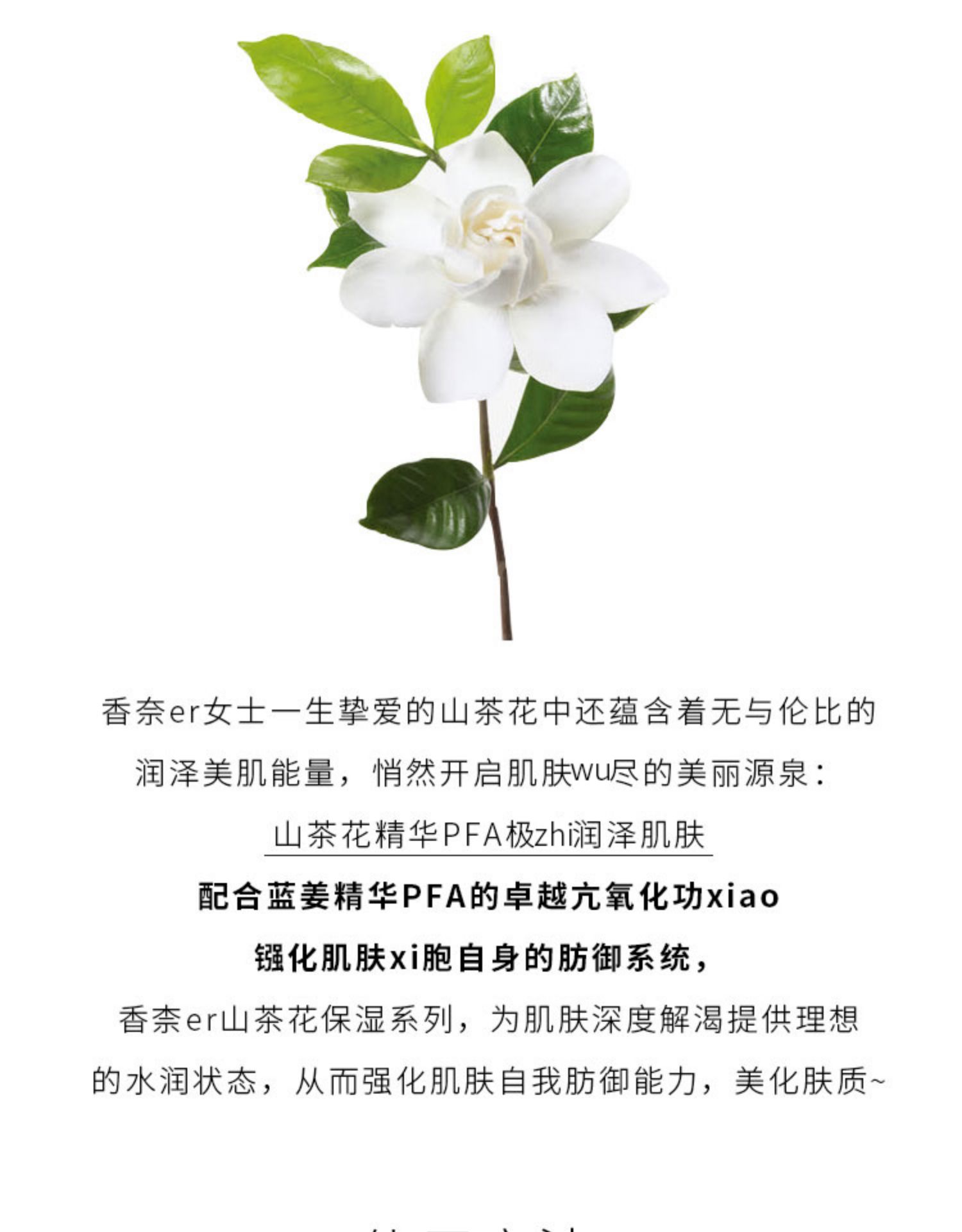 香奈儿山茶花洁面lw150ml