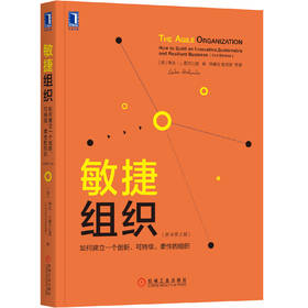 敏捷组织：如何建立一个创新、可持续、柔性的组织(原书*2版)