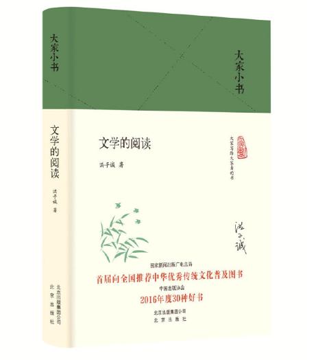 大家小书 文学的阅读 商品图0