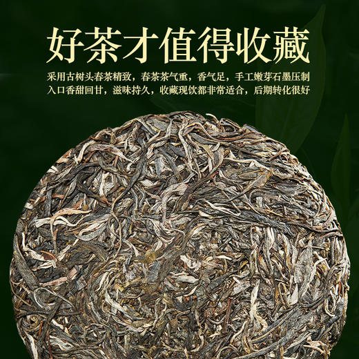 190     陈氏●秘境●布朗山古树●2020版●一款老厂长亲自监制的茶叶，一款性价比高口感非常不错的生茶。清仓 商品图1