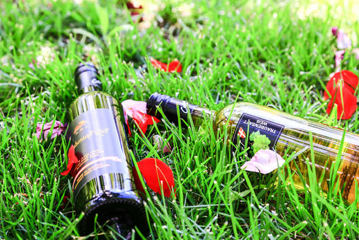 社区团购 蔻本枝  奥地利进口葡萄汁礼盒（750ml*2瓶） 商品图3