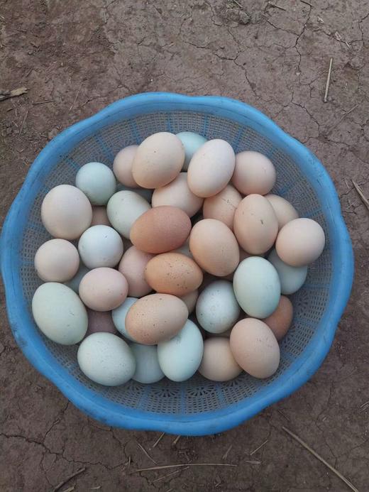 正宗粮食土鸡蛋 商品图3