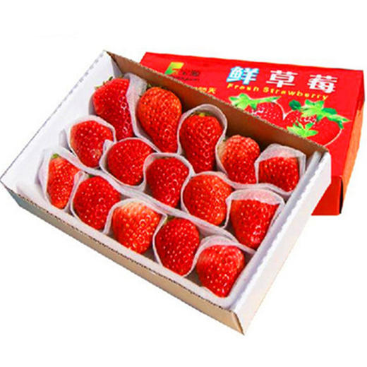 云南双流草莓 商品图4