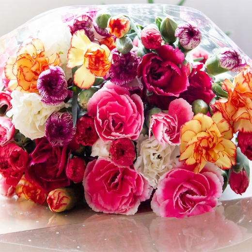 云南高原鲜花多头康乃馨三色混发中通冷链