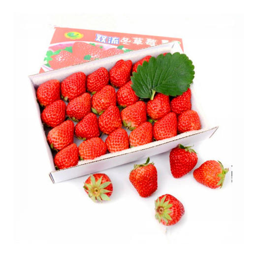云南双流草莓 商品图6