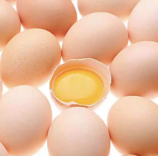 正宗粮食土鸡蛋 商品图2